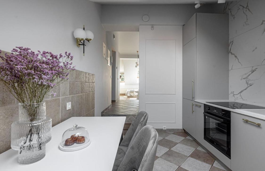 Traku Street Apartment In Βίλνιους Εξωτερικό φωτογραφία