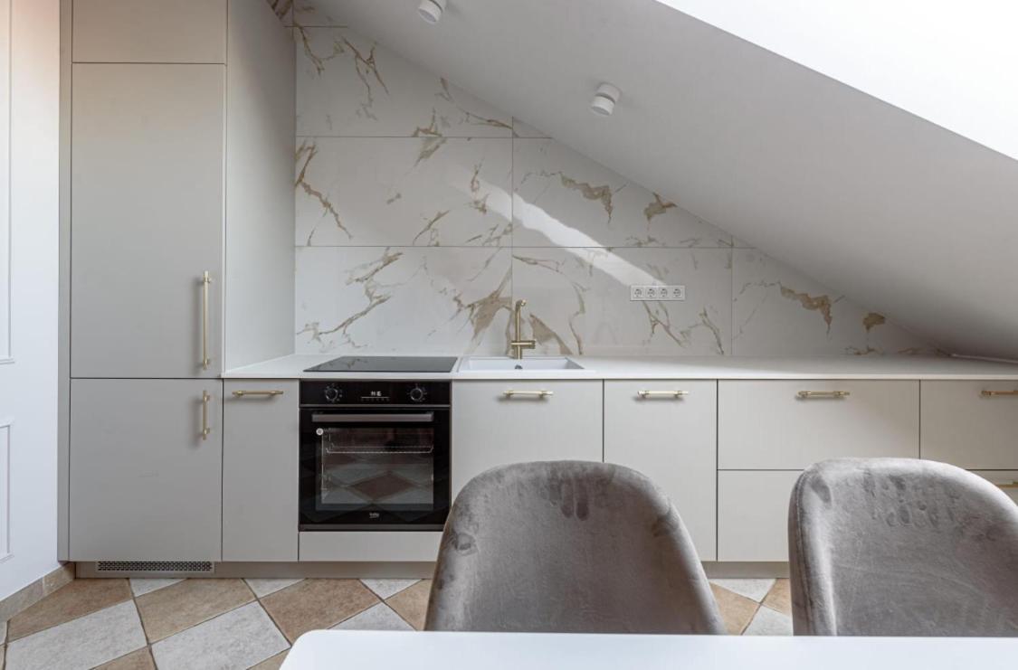Traku Street Apartment In Βίλνιους Εξωτερικό φωτογραφία